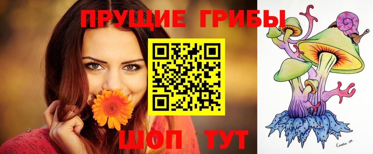 Галлюциногенные грибы мицелий  Вход с VPN  Карачаевск 